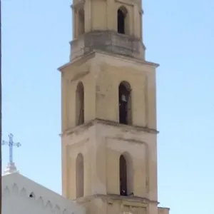 Cinghiale Bianco , Cagliari Italia
